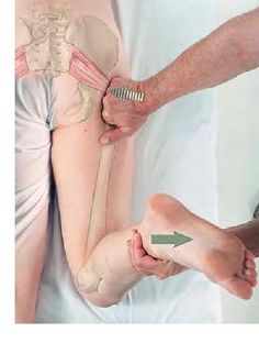 Sciatic Pain - Sports Massage Treatment 