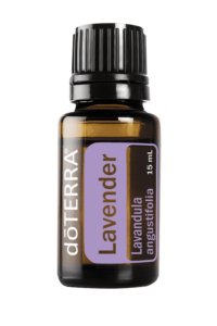 lavender essential oil